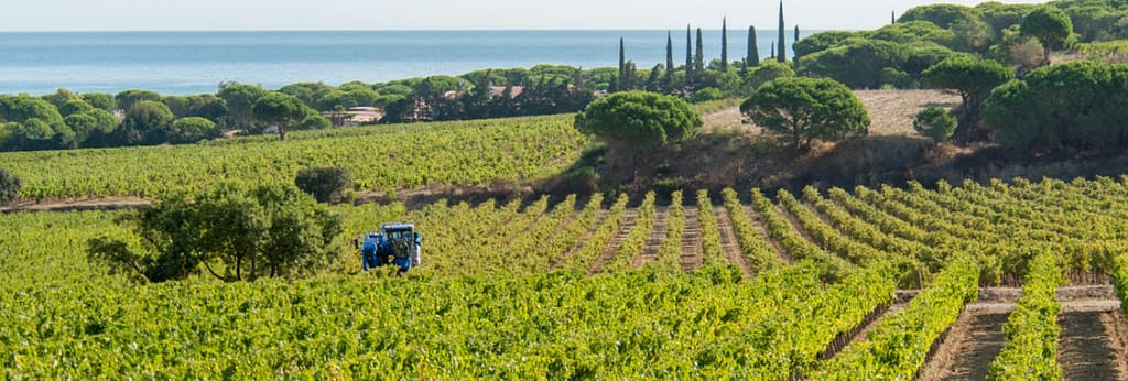 Plage de Pampelonne, Saint-Tropez et Ramatuelle capture d’écran 2026 01 25 à 18.39.07