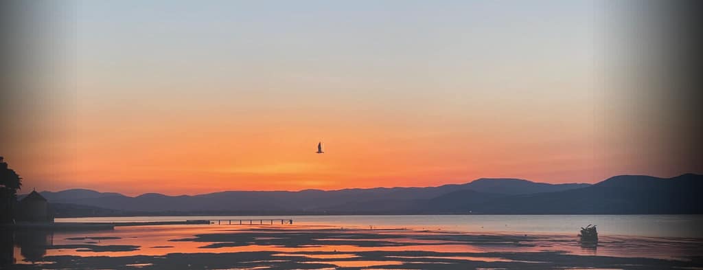 Plage de Pampelonne, Saint-Tropez et Ramatuelle capture d’écran 2026 01 25 à 18.56.10
