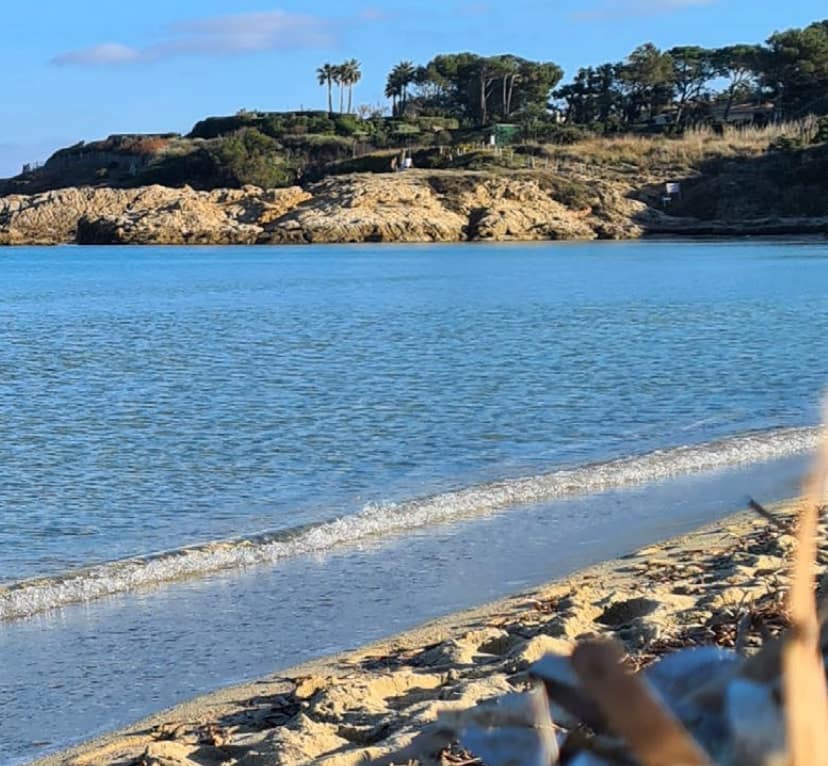 Plage de Pampelonne, Saint-Tropez et Ramatuelle capture d’écran 2026 01 25 à 18.36.27