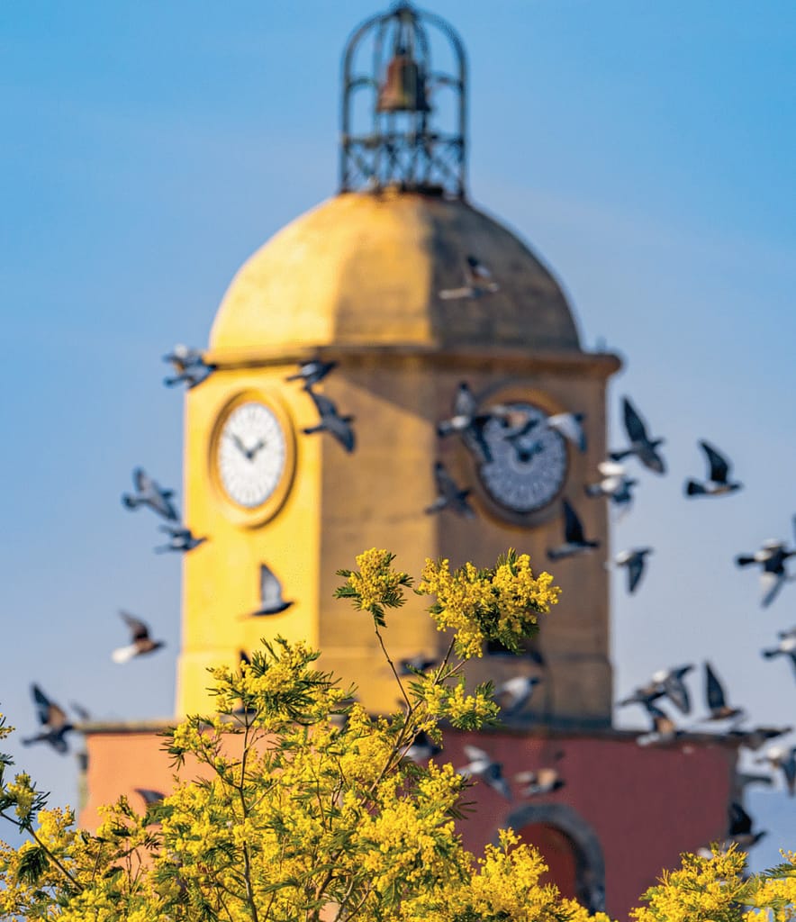 Plage de Pampelonne, Saint-Tropez et Ramatuelle capture d’écran 2026 01 25 à 19.09.29